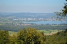 Bodensee vom Schiener Berg