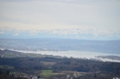 Bodensee von der Homburg